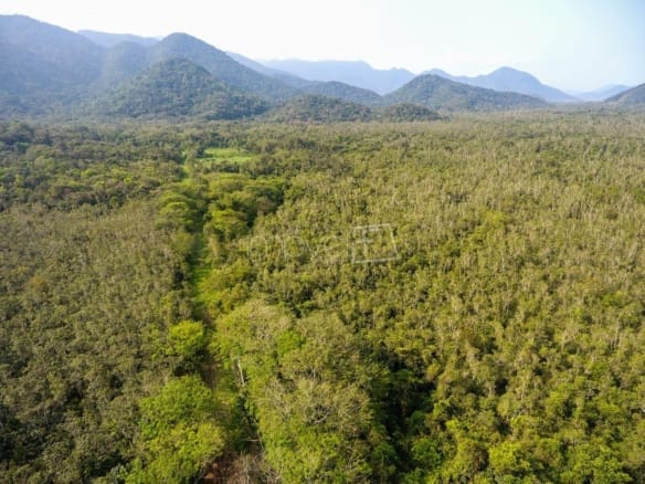 Sítio para Venda em Tabatinga com 300000m²