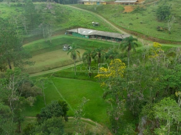 Sítio para Venda com 4 quartos, em Natividade da Serra com 271380m²