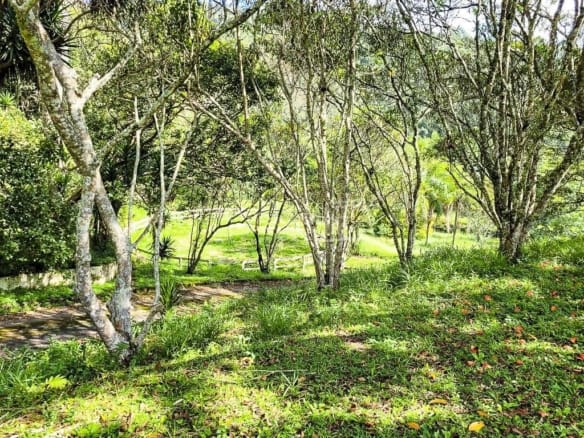 Fazenda para Venda com 10 quartos, em Alto Da Serra (Mailasqui) com 1900m²
