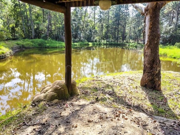 Fazenda para Venda com 10 quartos, em Alto Da Serra (Mailasqui) com 1900m²
