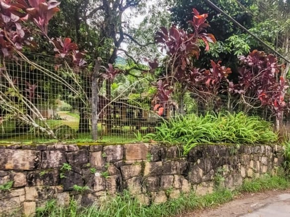 Terreno para Venda Praia de Tabatinga em Ubatuba com 11600m²