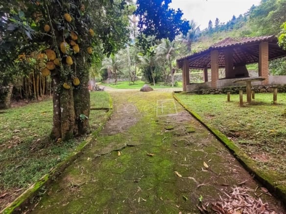 Terreno para Venda Praia de Tabatinga em Ubatuba com 11600m²