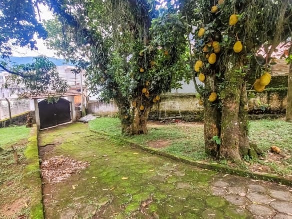 Terreno para Venda Praia de Tabatinga em Ubatuba com 11600m²