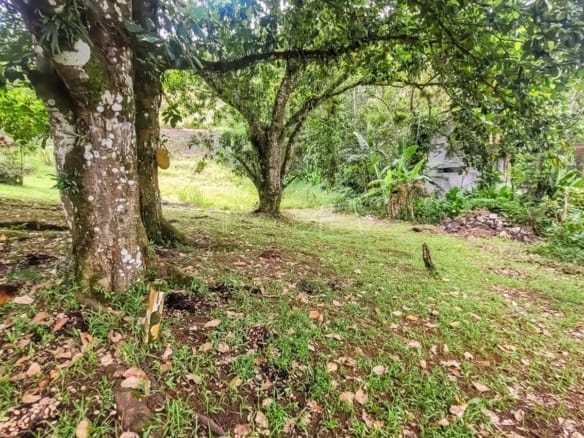 Terreno para Venda Praia de Tabatinga em Ubatuba com 11600m²