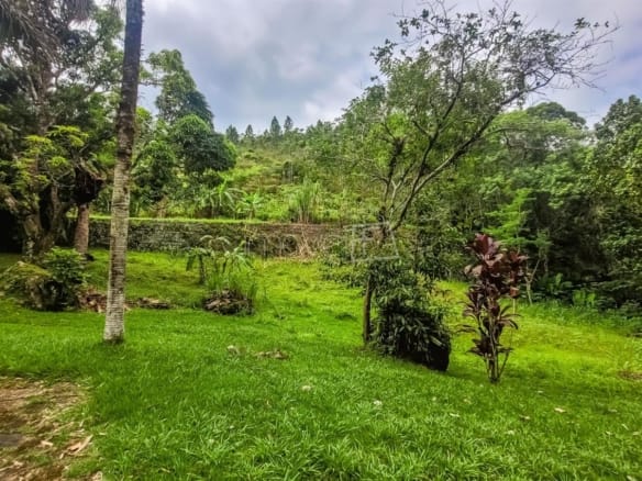 Terreno para Venda Praia de Tabatinga em Ubatuba com 11600m²