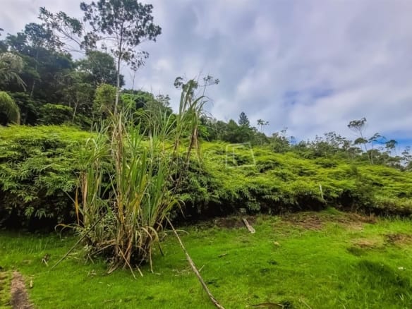 Terreno para Venda Praia de Tabatinga em Ubatuba com 11600m²