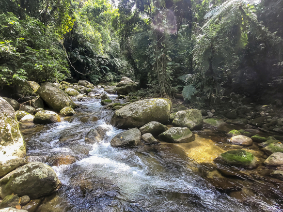 Chácara para Venda com 5 quartos, em Ubatumirim com 422m²