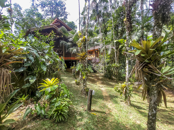 Chácara para Venda com 5 quartos, em Ubatumirim com 422m²