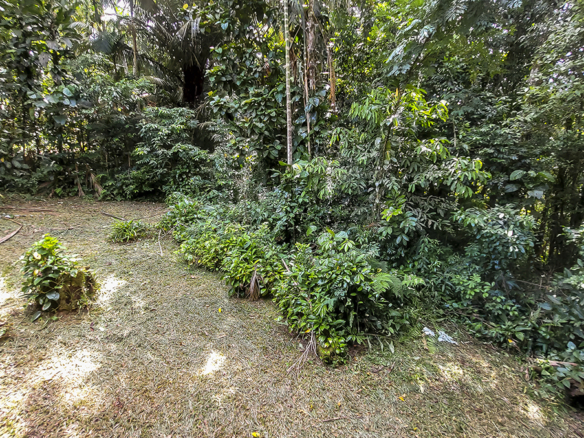 Chácara para Venda com 5 quartos, em Ubatumirim com 422m²