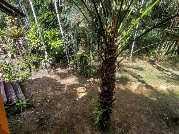 Chácara para Venda com 5 quartos, em Ubatumirim com 422m²