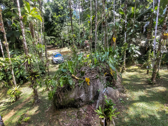 Chácara para Venda com 5 quartos, em Ubatumirim com 422m²