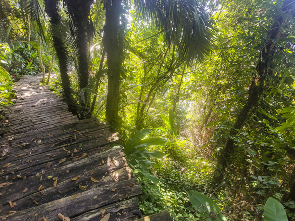 Casa para Venda com 5 suítes, em Praia Vermelha do Sul, com 600m²