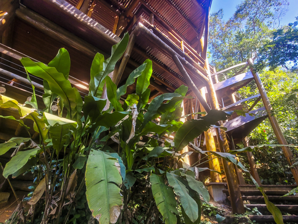 Casa para Venda com 5 suítes, em Praia Vermelha do Sul, com 600m²