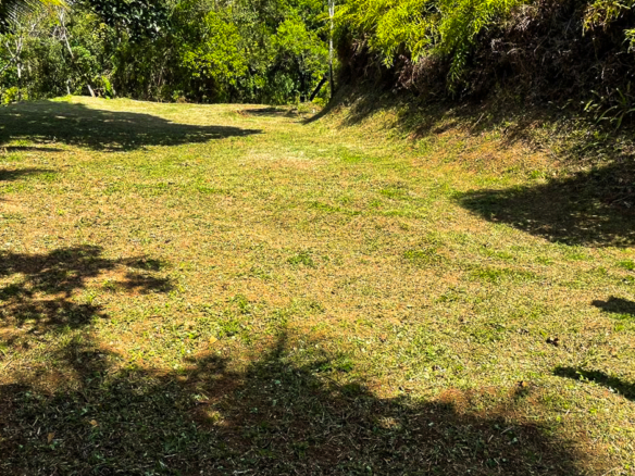 Terreno para Venda em Praia Brava do Sul em Ubatuba com 22347 m²