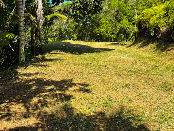 Terreno para Venda em Praia Brava do Sul em Ubatuba com 22347 m²