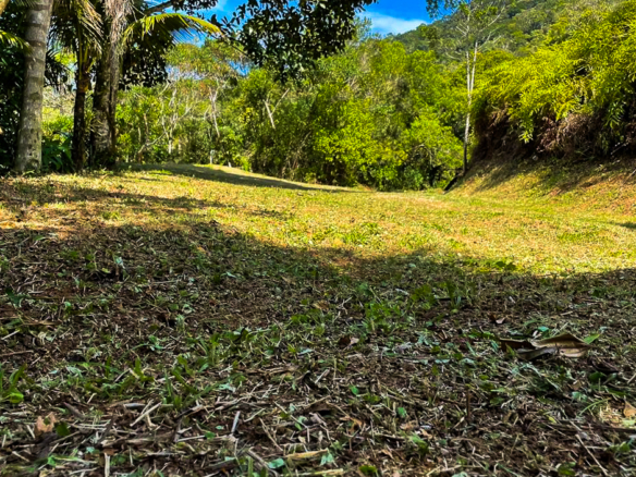 Terreno para Venda em Praia Brava do Sul em Ubatuba com 22347 m²