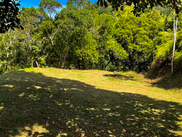 Terreno para Venda em Praia Brava do Sul em Ubatuba com 22347 m²
