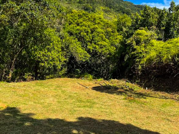 Terreno para Venda em Praia Brava do Sul em Ubatuba com 22347 m²