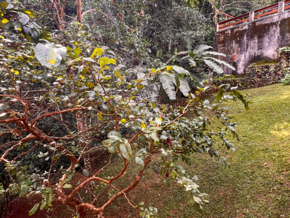 Casa à Venda – Condomínio Fechado na Praia de Santa Rita, Ubatuba/SP
