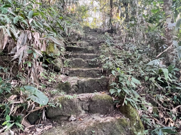 Exclusividade à beira-mar em Ubatuba com 605m²