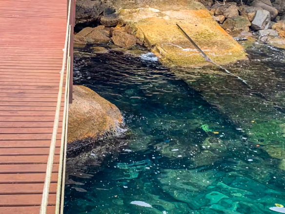 Residência Exclusiva na Ponta Grossa – Ubatuba