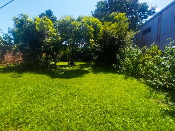 Casa térre a venda com 600 metros quadrados de lote na Praia da Tabatinga