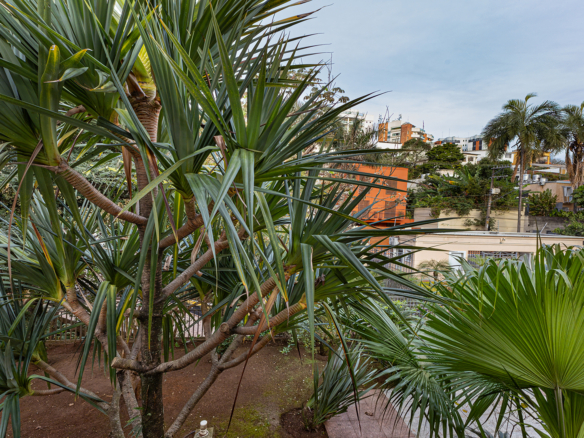 Casa ampla em condomínio exclusivo no Morumbi