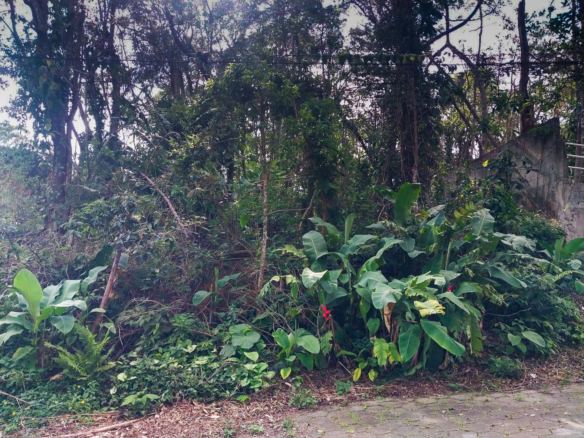 Terreno para Venda em Condomínio Roteiro do Sol – Caraguatatuba.