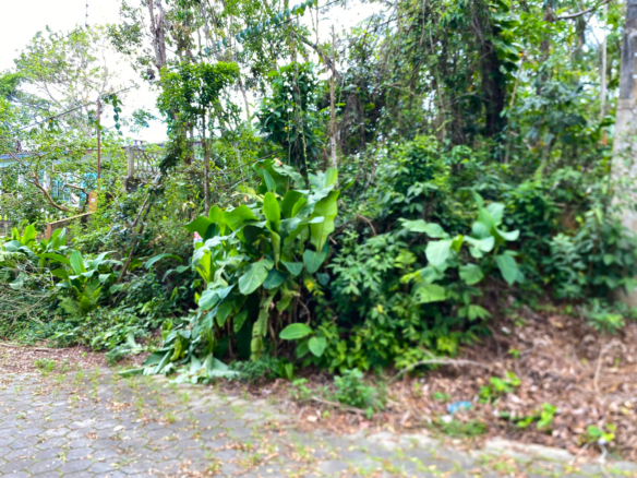 Terreno para Venda em Condomínio Roteiro do Sol – Caraguatatuba.