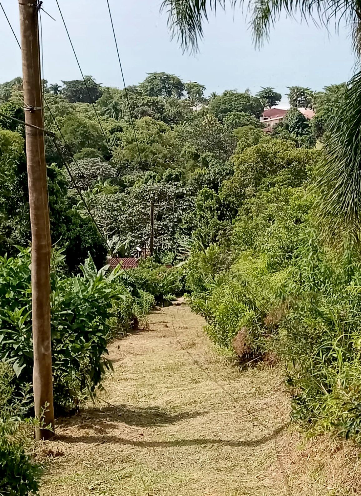 Excelente terreno de 2.096,00 m² com licença ambiental aprovada na Praia da Fortaleza | Ubatuba