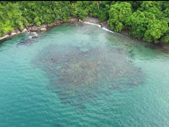 Excelente terreno de 2.096,00 m² com licença ambiental aprovada na Praia da Fortaleza | Ubatuba
