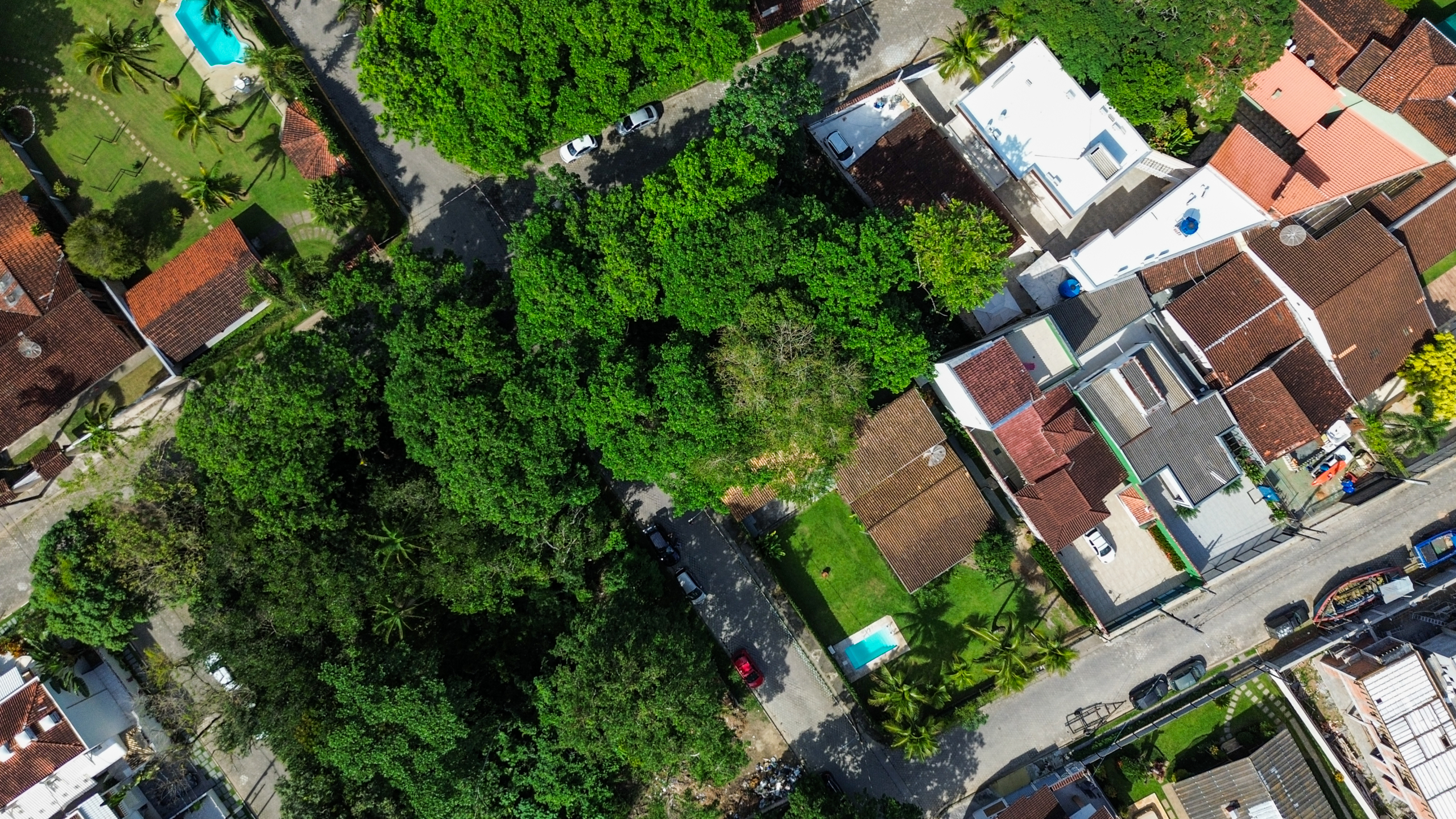 Terreno para Venda a 150 metros da Praia da Tabatinga com 1200 m²